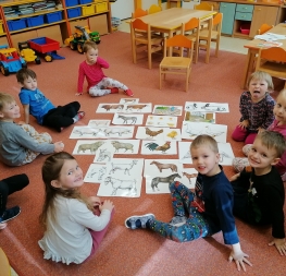 Domácí zvířata a jejich mláďata