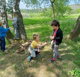 Když všechno kvete