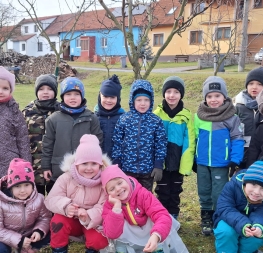 Ptáčci v zimě (+VIDEO)